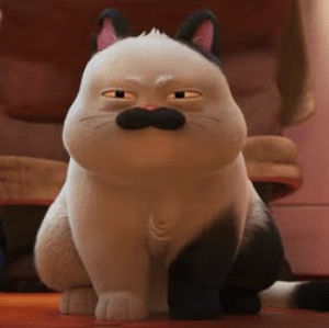 Meet your Posher, Mia